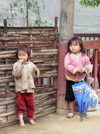 Sapa