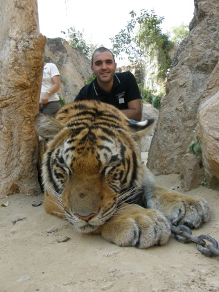 Tigers valley