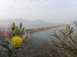 Cheung Chau Island