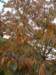 pb013584_small.jpg