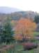 pb013594_small.jpg