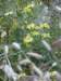 pb013613_small.jpg