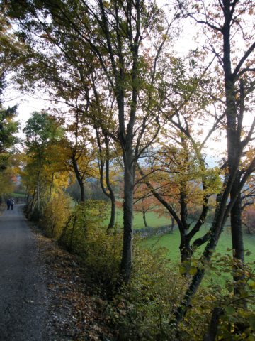 pb013648.jpg
