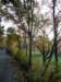 pb013648_small.jpg