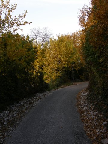 pb013656.jpg