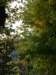 pb013660_small.jpg
