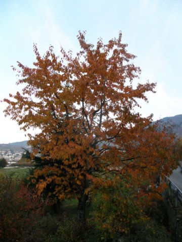 pb013665.jpg