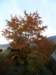 pb013665_small.jpg