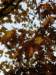 pb013667_small.jpg