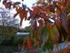 pb013670_small.jpg