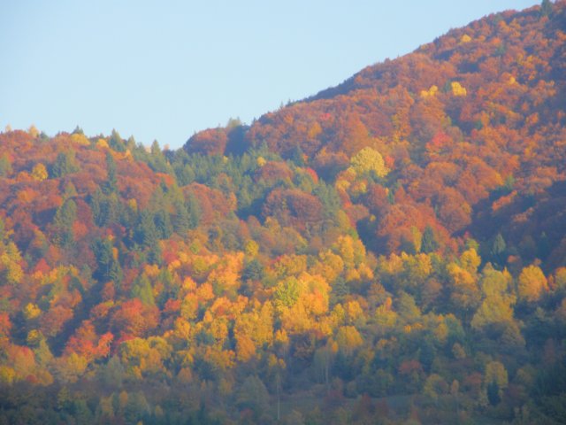 pb013675.jpg