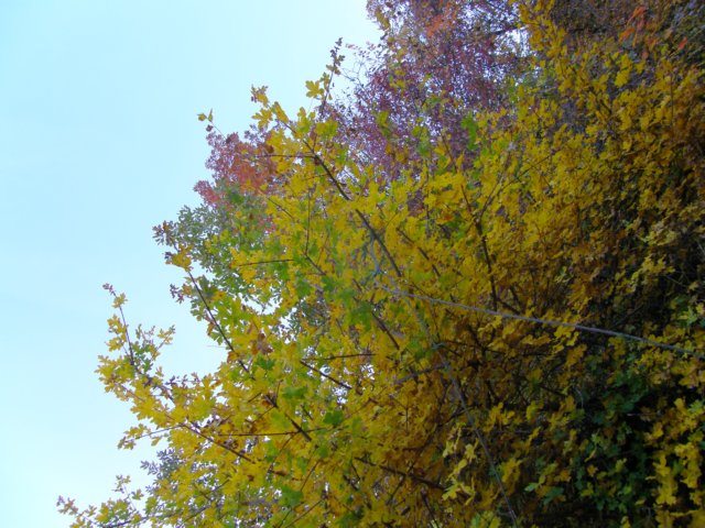 pb013680.jpg