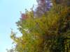 pb013680_small.jpg