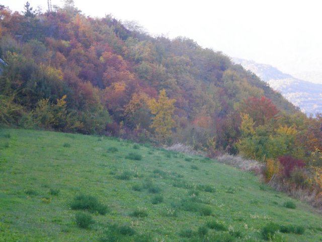 pb013687.jpg