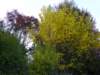 pb013688_small.jpg