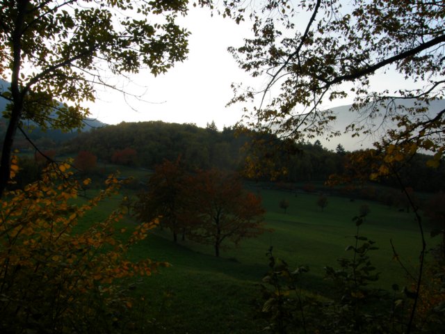 pb013690.jpg