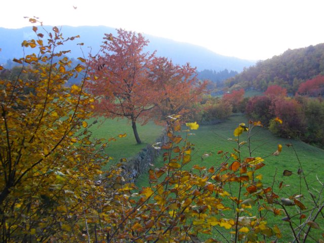 pb013695.jpg
