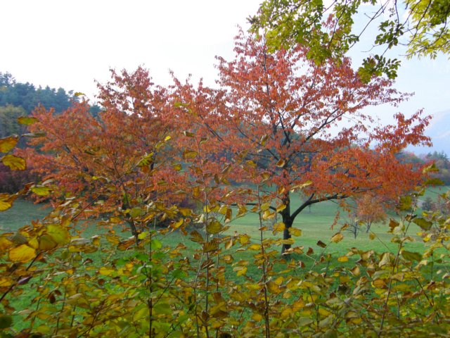 pb013700.jpg