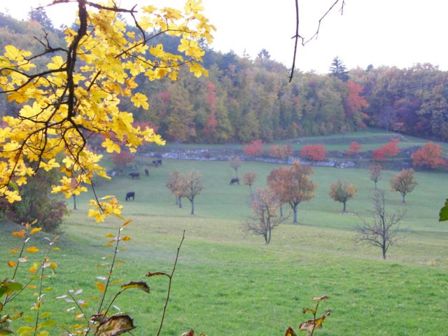pb013702.jpg