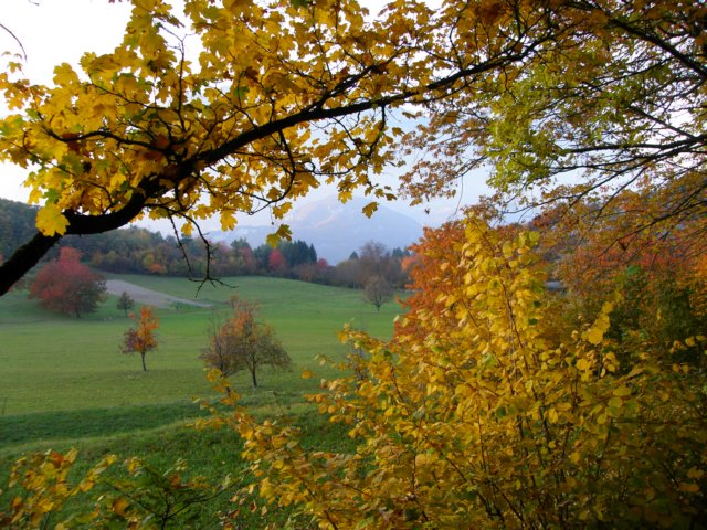pb013710.jpg