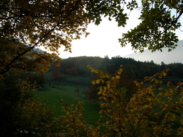 pb013714.jpg