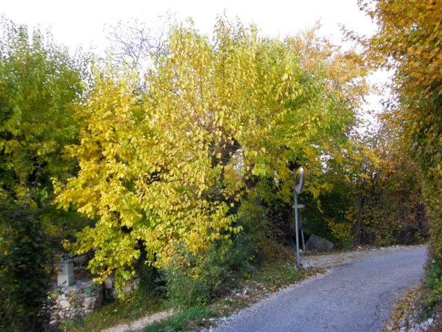 pb013717.jpg