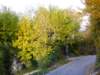 pb013717_small.jpg