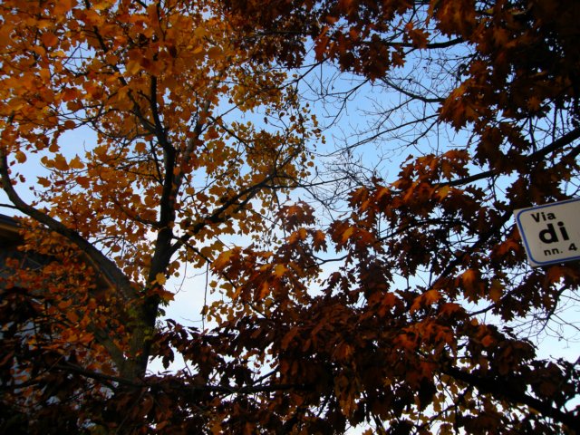 pb013721.jpg