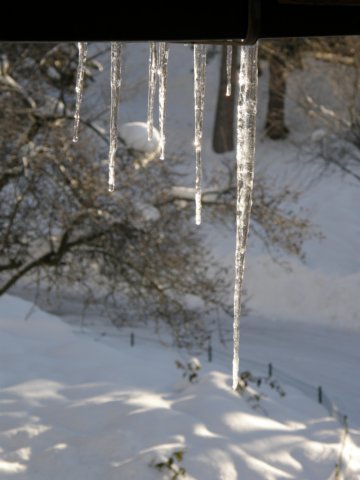 lavaronesnowagain29.jpg