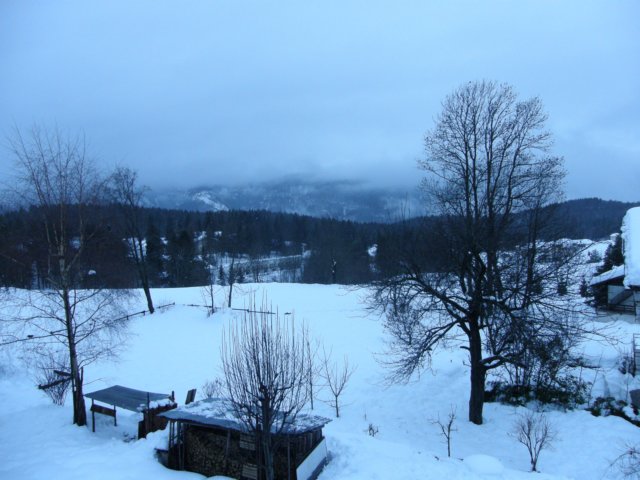 lavaronemoresnow15.jpg