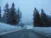 lavaronemoresnow26_small.jpg
