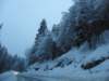 lavaronemoresnow28_small.jpg