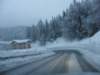 lavaronemoresnow29_small.jpg
