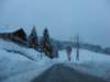 lavaronemoresnow34_small.jpg