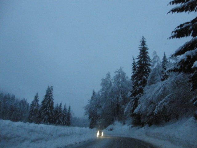 lavaronemoresnow36.jpg
