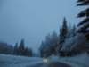 lavaronemoresnow36_small.jpg