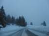 lavaronemoresnow39_small.jpg