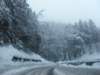lavaronemoresnow44_small.jpg