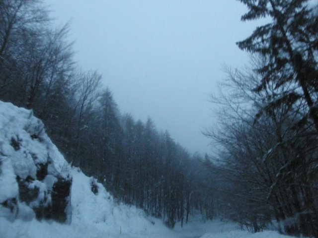 lavaronemoresnow47.jpg