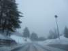 lavaronemoresnow52_small.jpg