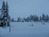 lavaronemoresnow55_small.jpg