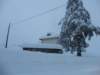 lavaronemoresnow59_small.jpg