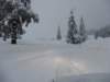 lavaronemoresnow60_small.jpg
