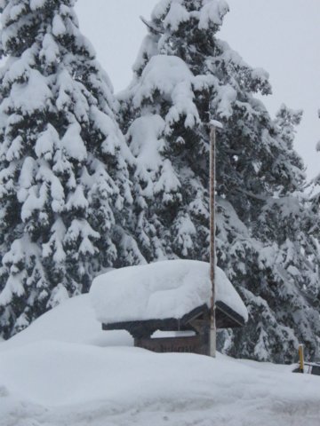 lavaronemoresnow62.jpg