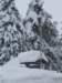 lavaronemoresnow62_small.jpg