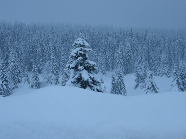 lavaronemoresnow67.jpg