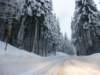 lavaronemoresnow70_small.jpg