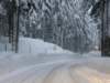 lavaronemoresnow71_small.jpg