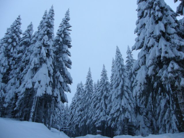 lavaronemoresnow72.jpg
