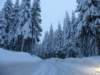 lavaronemoresnow73_small.jpg